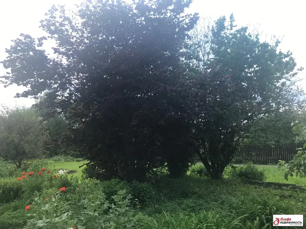 2. Погода каменное тяжино. Погода каменное тяжино. Дом в земле. Новое тяжино коттеджный поселок.