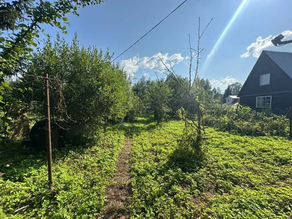 Дача 30 м2 на участке 6 сот. - Фото 8