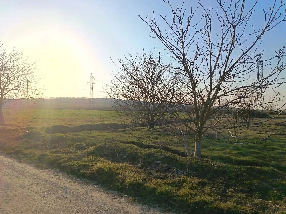 Продажа дома, Экономическое, Крымский район - Фото 11