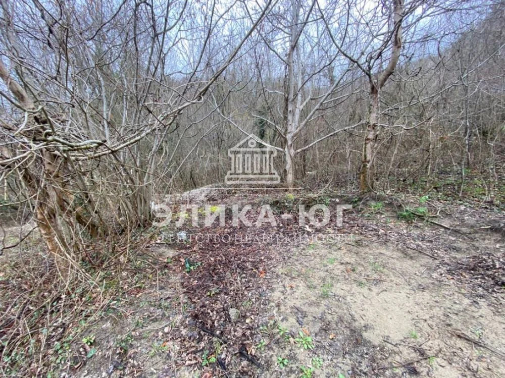 Продажа участка, Тенгинка, Туапсинский район, Прилесье - Фото 4