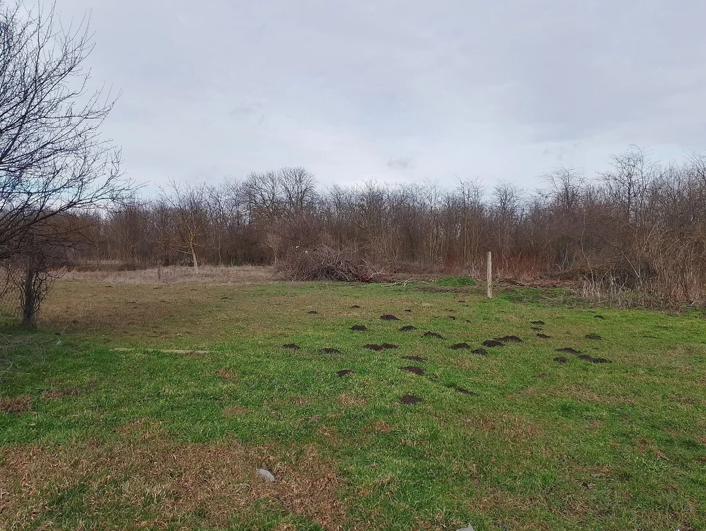 Продажа участка, Полтавская, Красноармейский район, ул. Просвещения - Фото 2