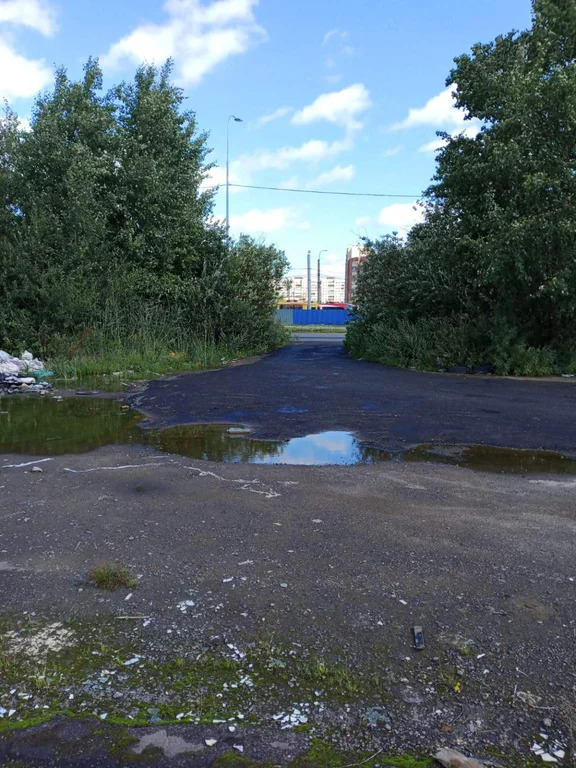 Продаётся уникальный готовый арендный бизнес 1668 мядом с метро - Фото 15