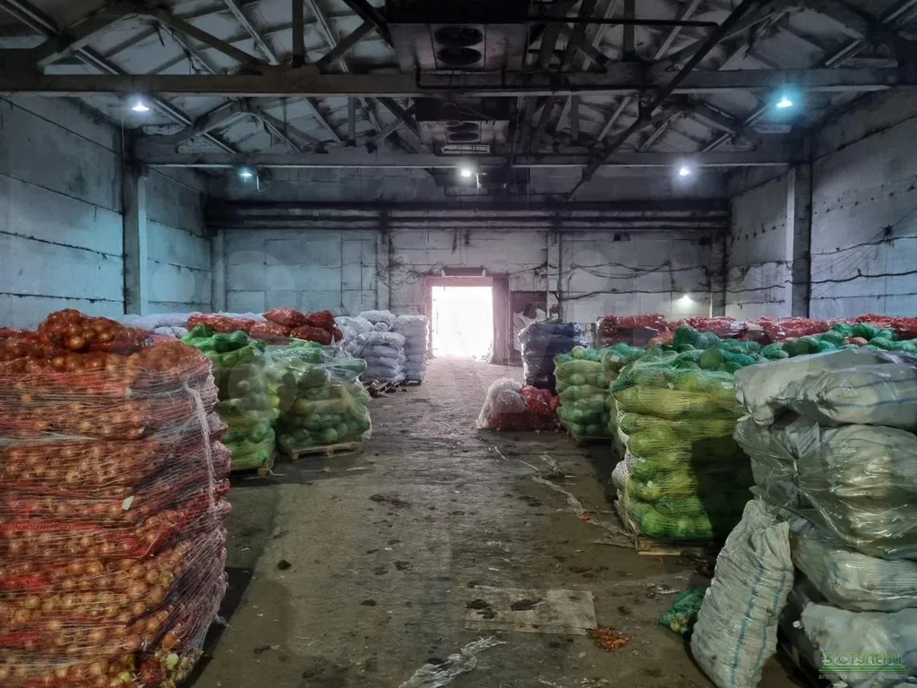 Аренда ПСН, Пушкино, Воскресенский район, Западная улица - Фото 5