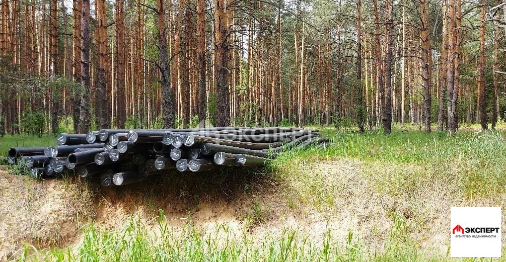 земельный участок, д. Бынино - Фото 3