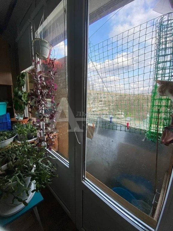 Продажа квартиры, Иноземцево, ул. 50 лет Октября - Фото 10