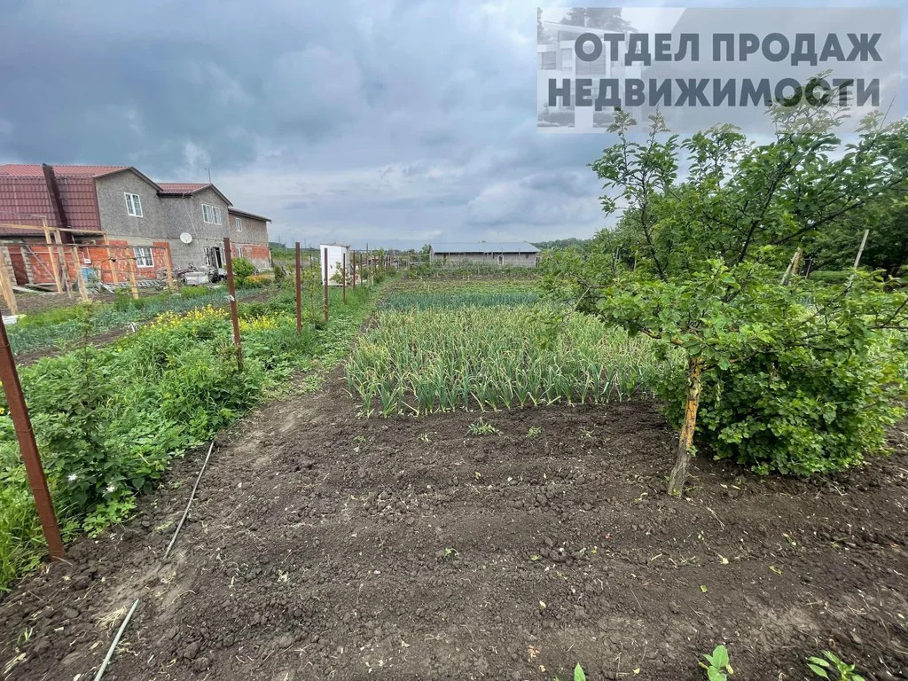 Большой дом - Фото 10