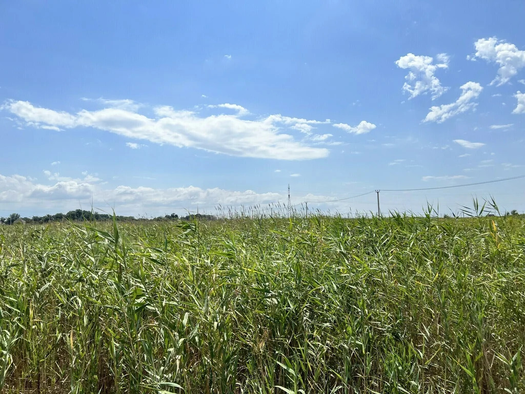 Продажа участка, Темрюк, Темрюкский район, улица Вознесенская - Фото 0