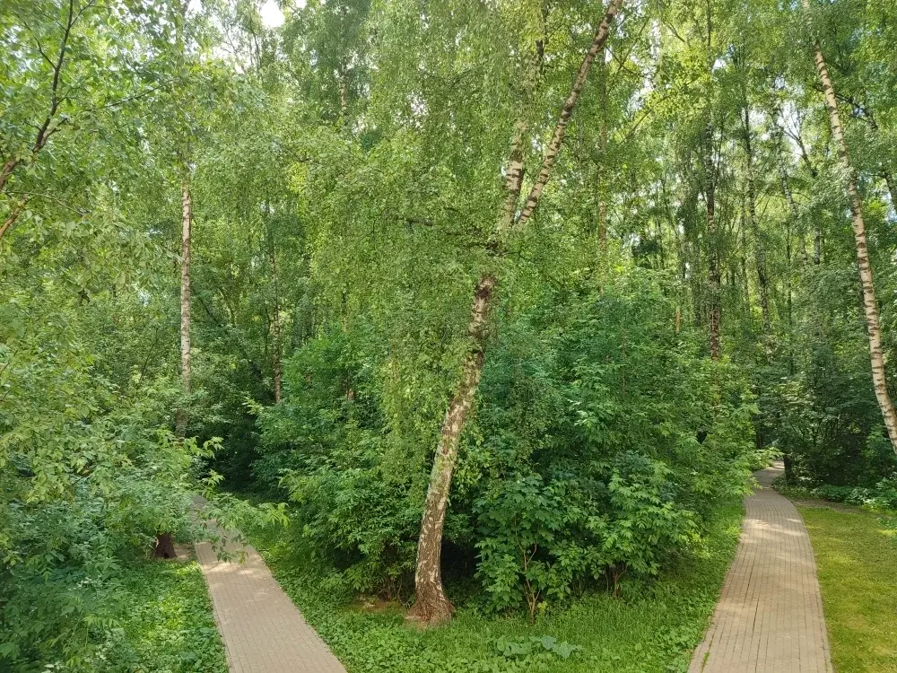 Продается большая 3-х ком. квартира в Москве Студенный пр. - Фото 24