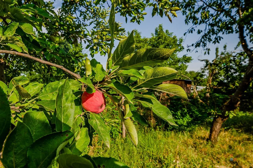 Дом по цене квартиры с центральными коммуникациями - Фото 22