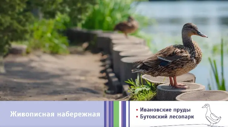 Студия, новостройка, Коммунарка, ЖК Бунинские Кварталы, к1.2 - Фото 19