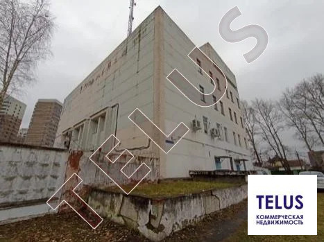 МО, Ногинск, Доможировский переулок,1372 м2, Помещения под ... - Фото 11