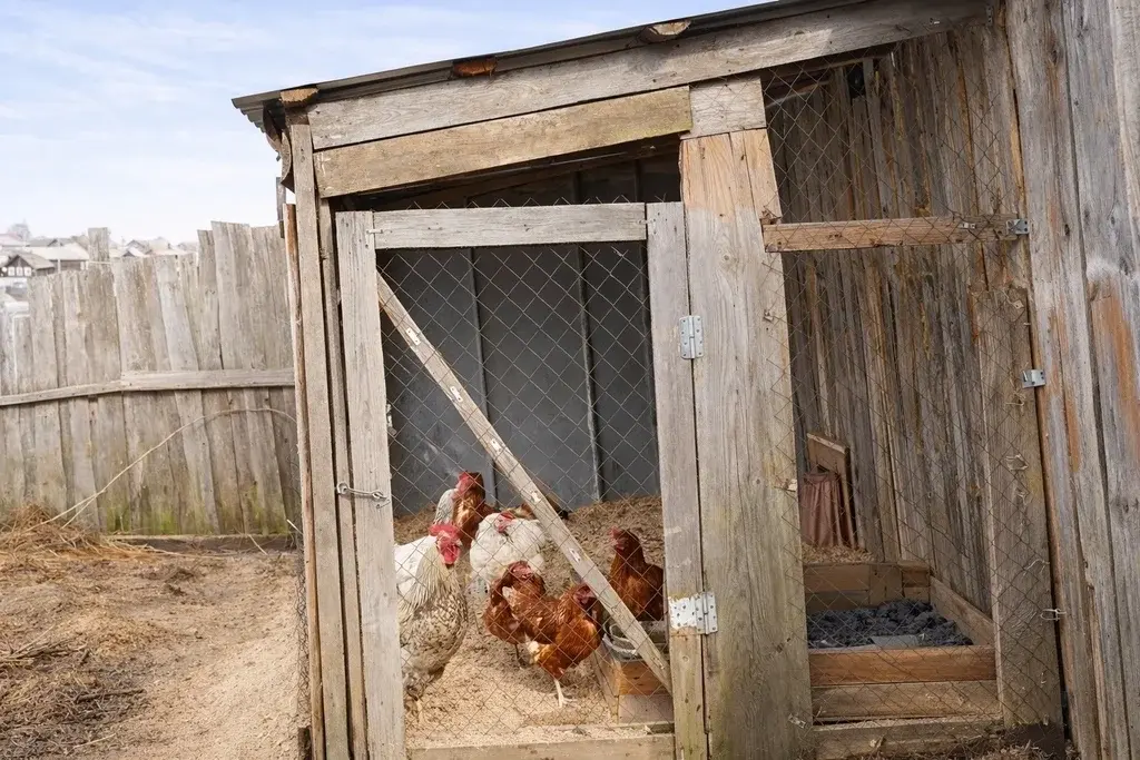 Продаётся дом по ул. Красноармейская - Фото 2