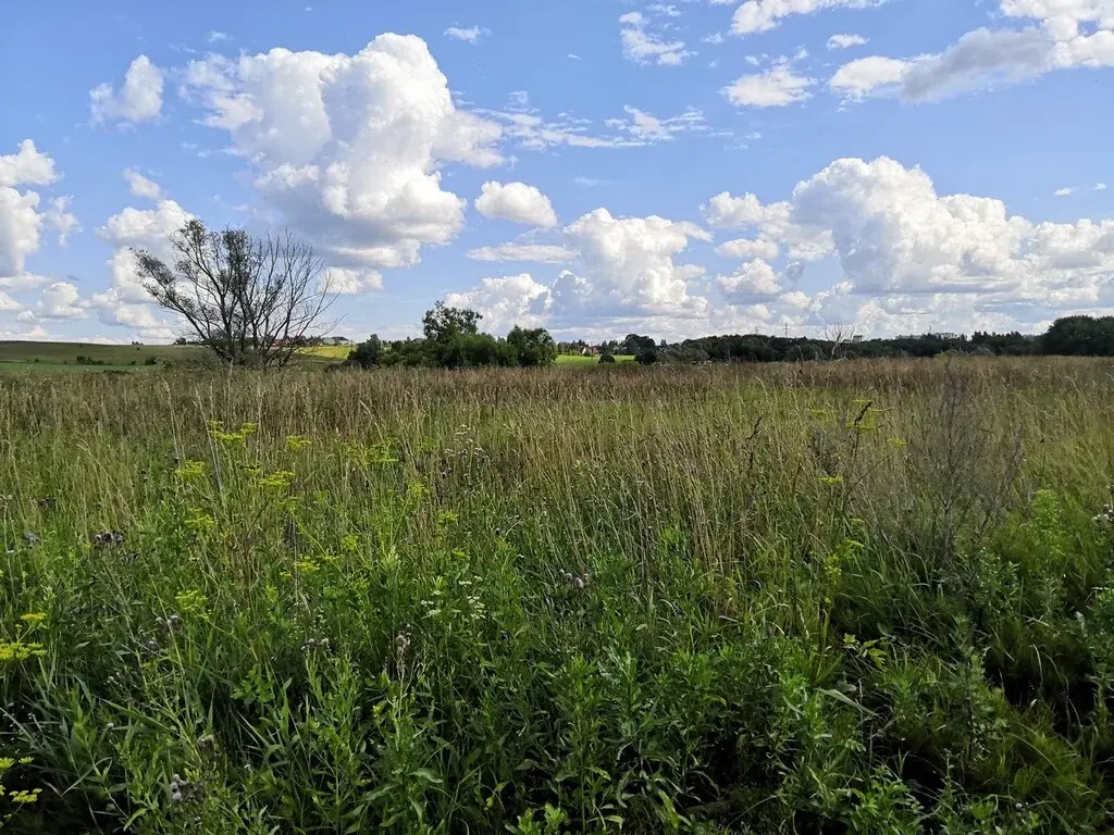 Ильинская слобода можайск фото