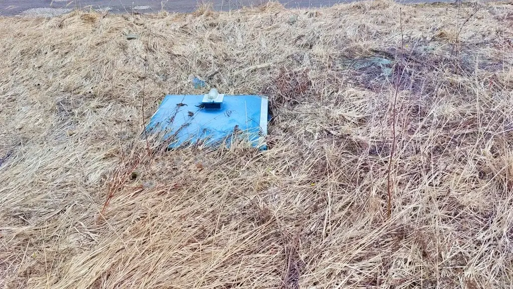 Земельный участок у леса КП Тироль - Фото 11