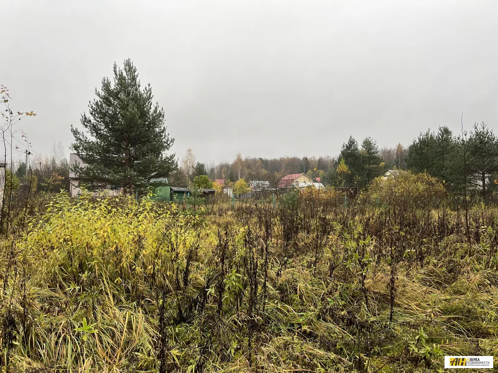 Продажа участка, Сергиево-Посадский район, садовое товарищество Рада - Фото 6