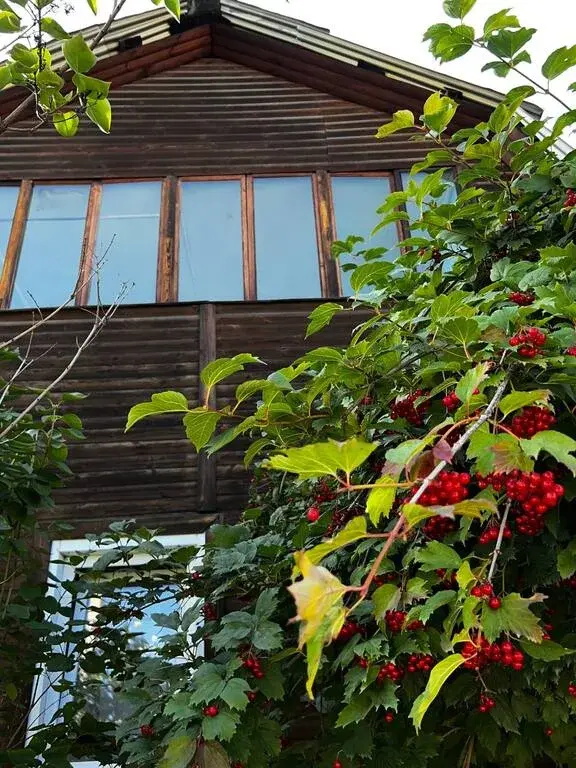 Продам дом в СНТ Колобок - Фото 12