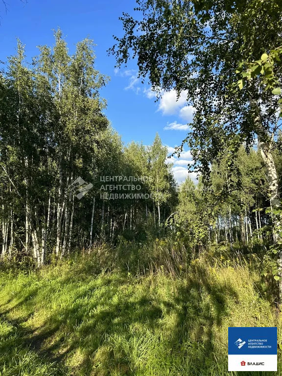 Продажа участка, Дубровичи, Рязанский район - Фото 11