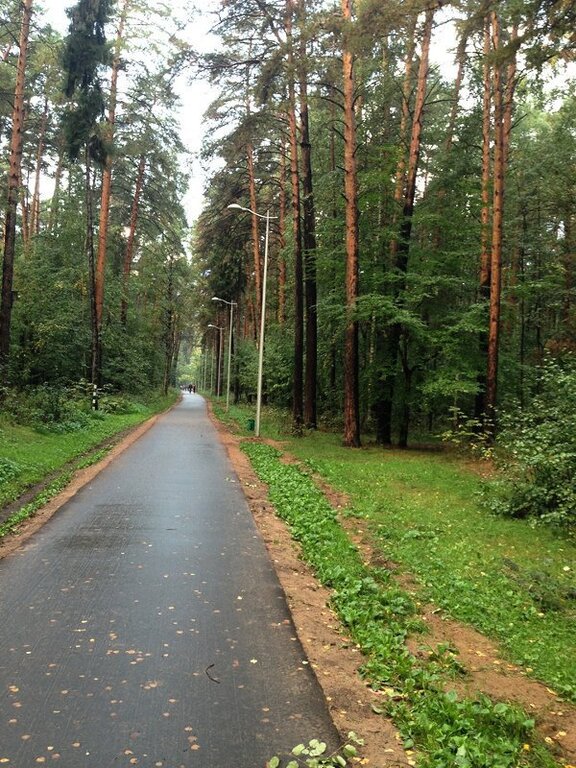 Парк балатово пермь