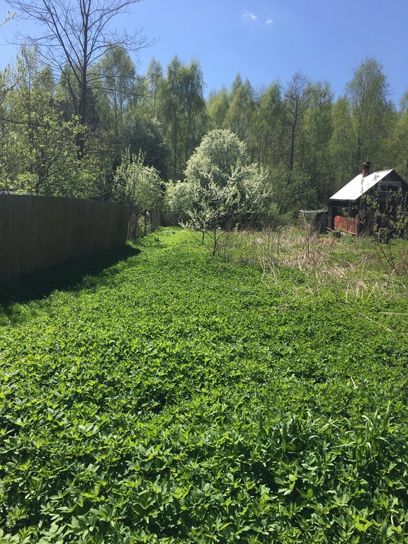 Участок одинцовский. Участок Одинцовский район. Участки в Одинцовском районе 8 соток. Поля возле Николиной горы. Поле Одинцовский район власино.