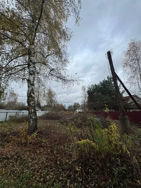 Раменский р-н д. Дергаево ул. Центральная - Фото 3