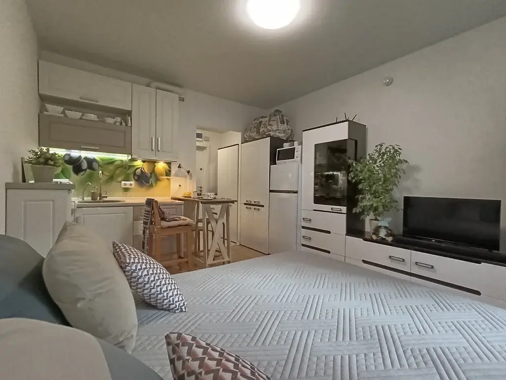 Полноценная квартира по цене комнаты - Фото 11