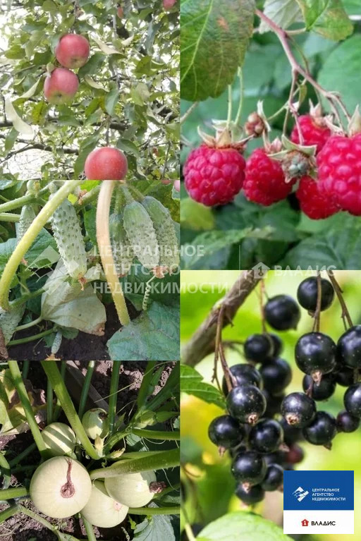 Продажа дома, Рязань, ул. Ленинского Комсомола - Фото 12