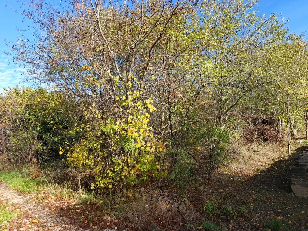 Продажа участка, Афипский, Северский район - Фото 2