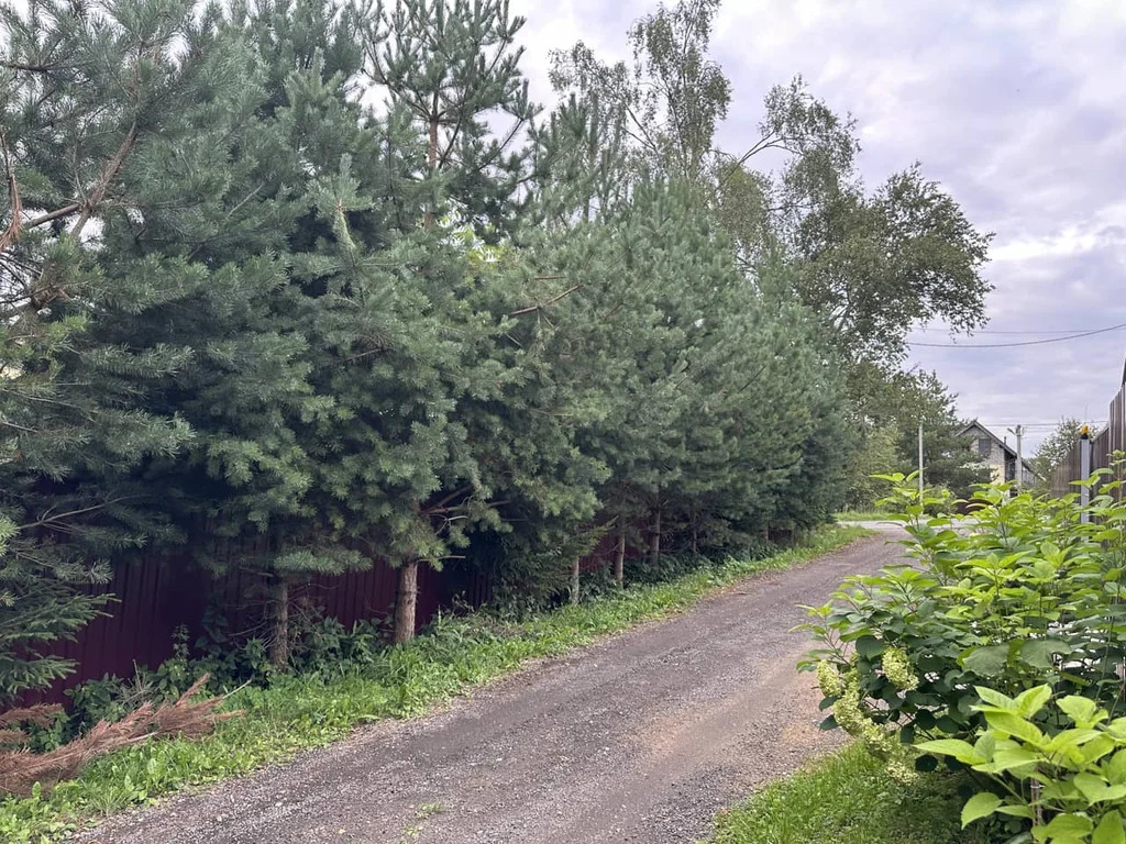 Продажа участка, Внуково, Дмитровский район - Фото 7