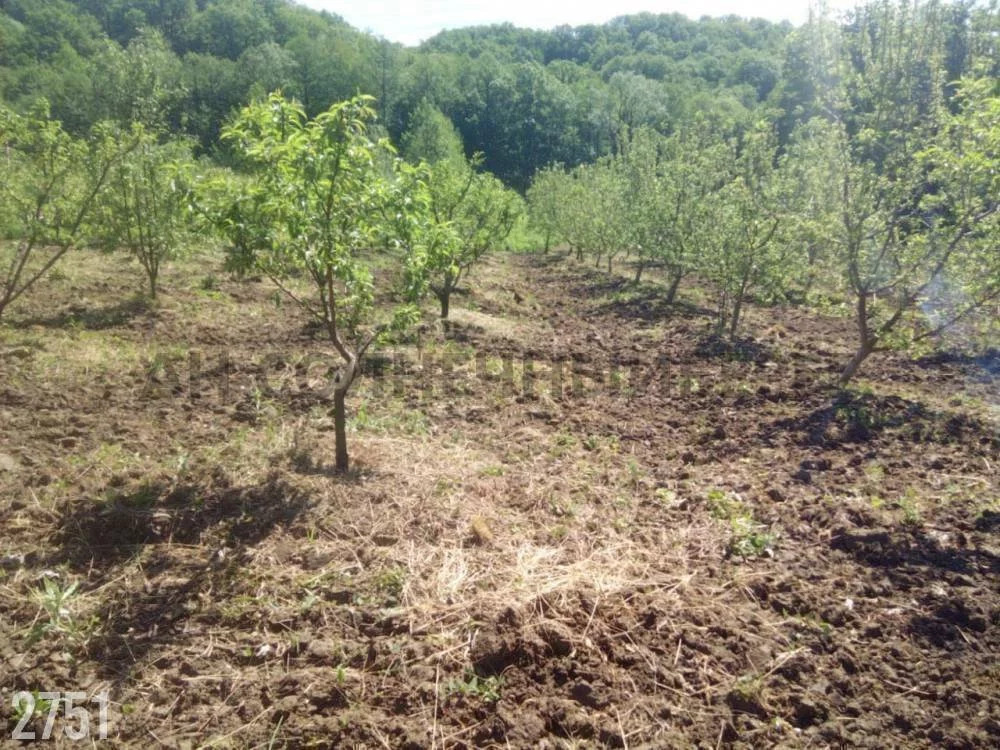 Купить Дом В Дефановке Туапсинского Района