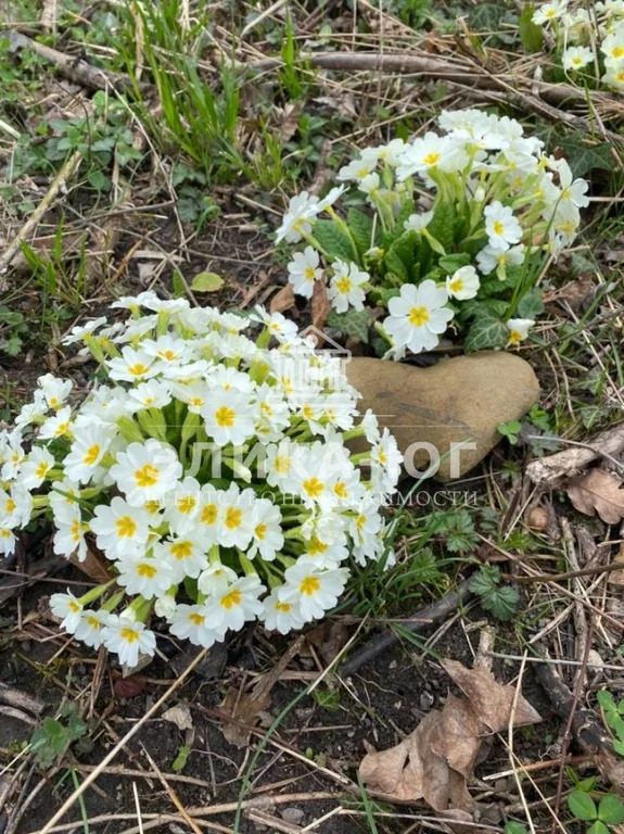 Продажа участка, Тенгинка, Туапсинский район, Прилесье - Фото 10