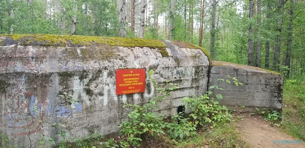 Продажа ЗУ в СНТ Сосновый бор, Куйвозовское СП, ж/д ст. 47 км - Фото 15