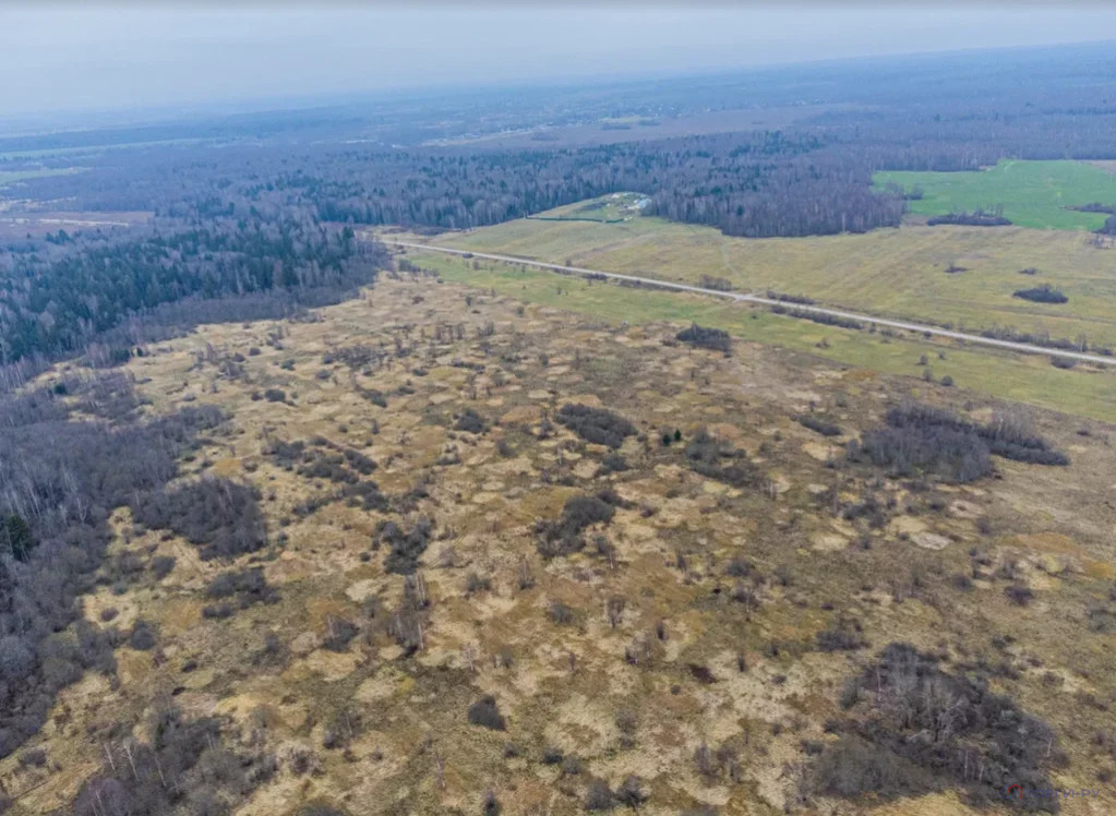 продажа земельного участка, городской округ шаховская - Фото 2