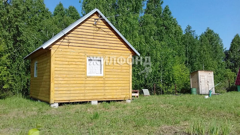 Купить Дачу В Колыванском Районе Новосибирской