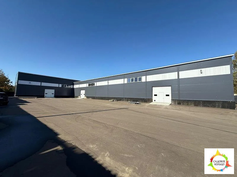 Чехов - Фото 1