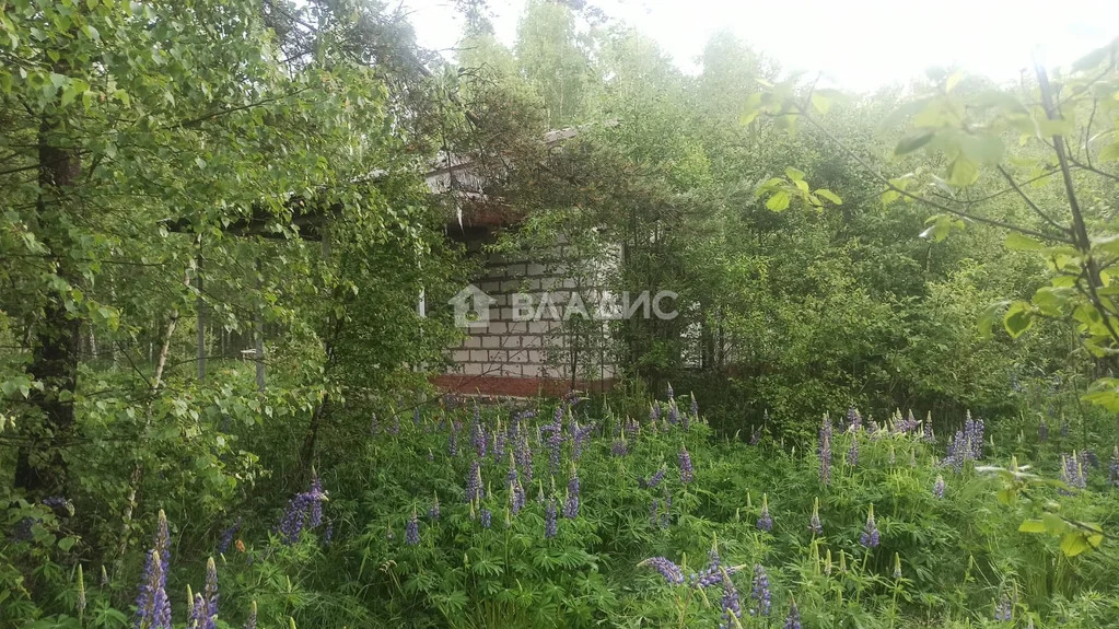 Судогодский район, деревня Маслово,  дом на продажу - Фото 16