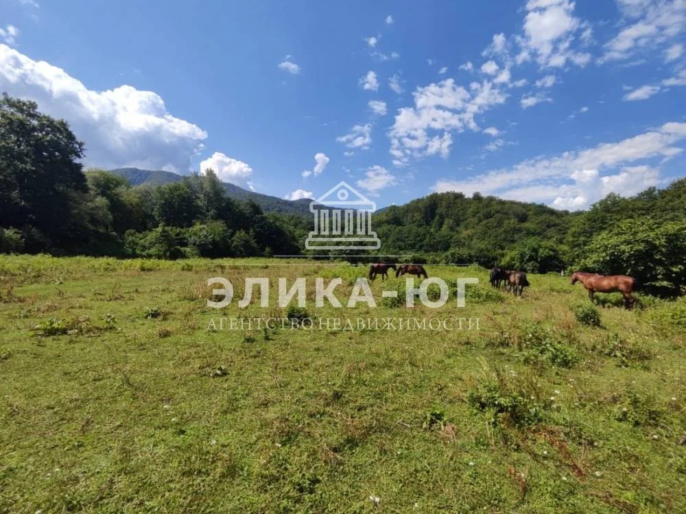 Продажа участка, Молдовановка, Туапсинский район - Фото 1