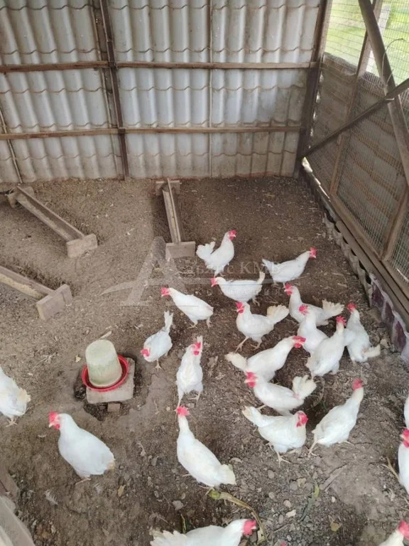 Продажа дома, Георгиевск, Дальняя ул. - Фото 15