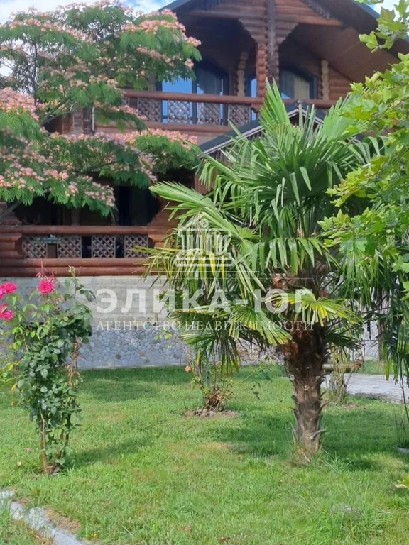 Продажа готового бизнеса, Шепси, Туапсинский район, ул. Лесная - Фото 2