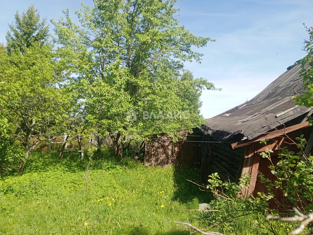 Собинский район, деревня Вышманово,  земля на продажу - Фото 3