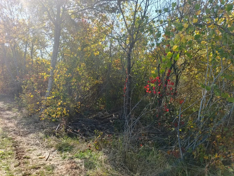 Продажа участка, Афипский, Северский район