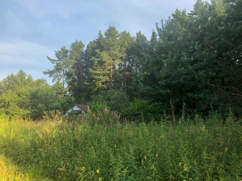 Купить дом в окружении леса можно уже сейчас!