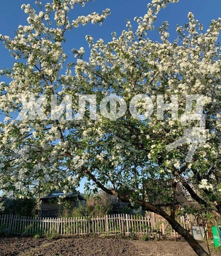 Продажа дома, Новосибирск, с/о Угольщик