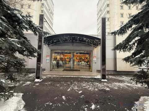 Продажа торгового помещения, Краснохолмская наб.