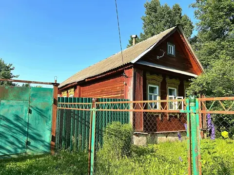 Дом в деревне Большая Ильинка