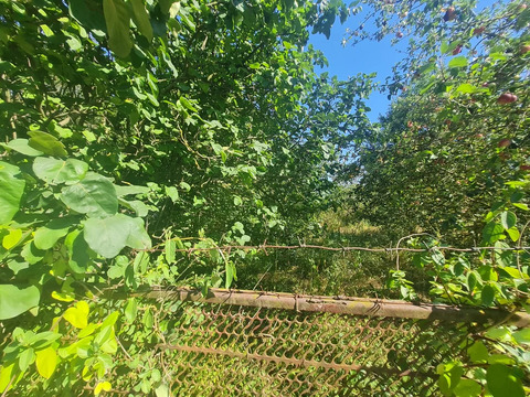 Продажа участка, Северский район