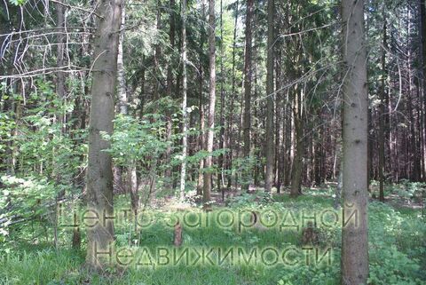Продается участок. , Милюково д,, Купить земельный участок в Москве, ID объекта - 202322823 - Фото 4 Продается участок. , Милюково д,, Купить земельный участок в Москве, ID объекта - 202322823 - Фото 4