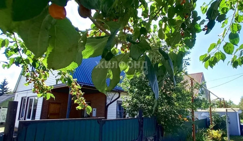 Продажа дома, Коченево, Коченевский район, ул. Садовая