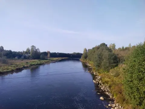 Участок 60 сот. (ИЖС),Золотово