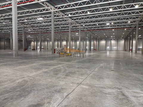 Аренда склада, Домодедово, Домодедово г. о., Триколор тер.