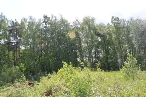 Участок в элитном поселке на Новорижском шоссе 9 км